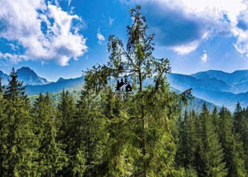 Oferta sprzedaży gruntu 1750m2 Kościelisko