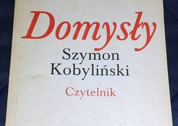 Domysły - Szymon Kobyliński