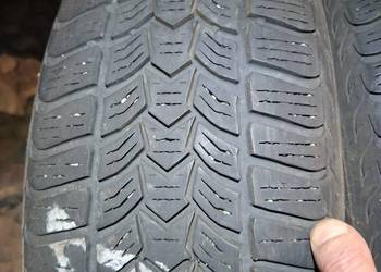 Opony zimowe 195/ 65 R15 Dębica Frigo HP2 5 mm bieżnika