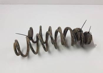 SPRĘŻYNY TYŁ  ROOMSTER