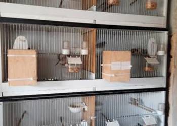 Sprzedam klatki dla papug