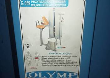 Maszyna REVERSE HYPER OLYMP DLA AMBITNYCH siłownia Plecy Lęd