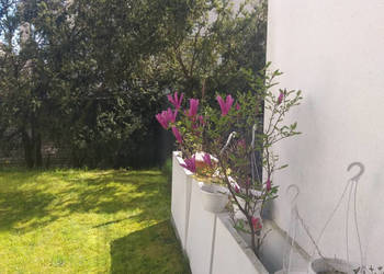 Ciche Mieszkanie z Ogrodem 70m2 przy Parku w Centrum