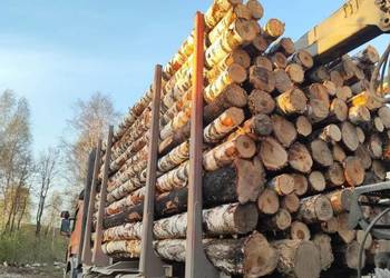 Różne rodzaje drewna opałowego/kominkowego Nidzica i okolica