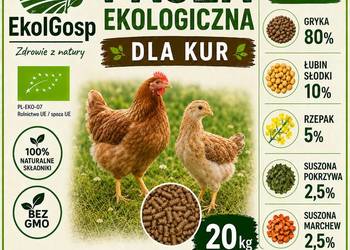 Pasza dla kur 20kg ekologiczna