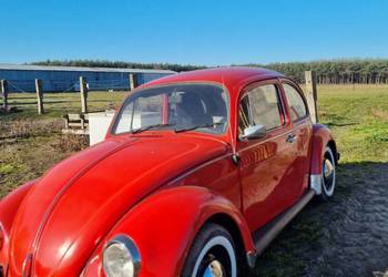 Volkswagen Garbus / Klasyk / 1300cm3 / fajny Stan / Indywidualne Tablice
