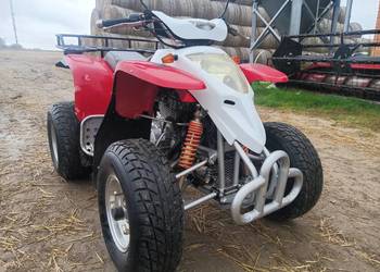 suzuki extreme 300 homologacja transport gratis