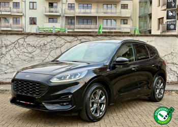 Ford Kuga ST-Line III (2019-)