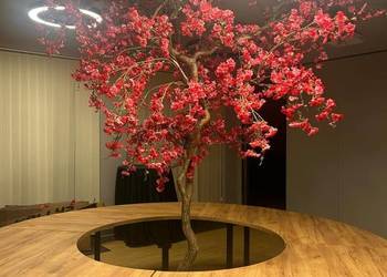 Wynajem stoly falowane