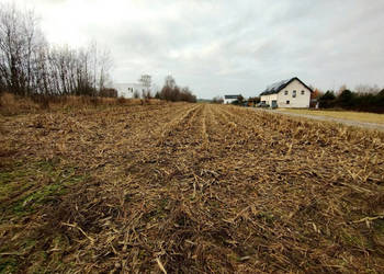 Sprzedam grunt 1700m2 Płouszowice-Kolonia