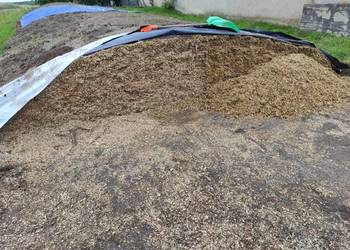 Kiszonka z kukurydzy Kiszonka z kukurydzy