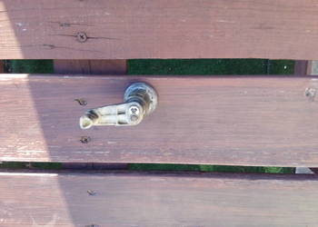 Wkład zamka kompletny Renault Megane 1