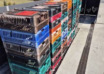 klatki, skrzynki KATEX