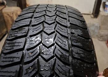 Opona zimowa Dębica Frigo NEW  195/65 R15 bieżnik 5 mm