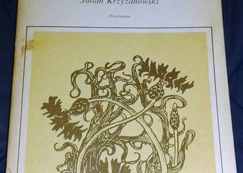 Neoromantyzm polski 1890–1918 - Julian Krzyżanowski