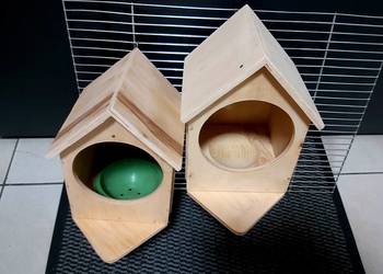 DLA gołąbka diamentowego i inne