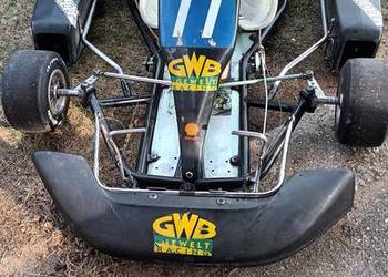 Gokart dla seniora z silnikiem Rotax