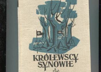 Królewscy synowie - Kraszewski