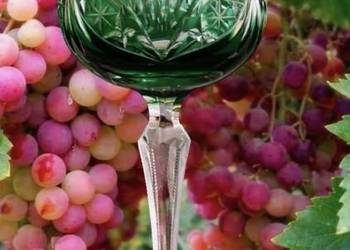 Kielich do wina Römer Uberfangrömer