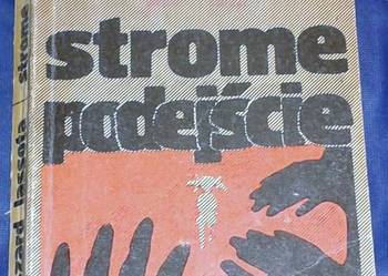 Strome podejście - Ryszard Lassota