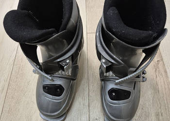 Buty narciarskie dalbello skorupa 245mm, wymiar 21, rozmiar ok 30-32