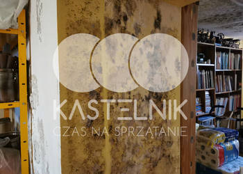 Ozonowanie pomieszczeń Starachowice - dezynfekcja biura, firmy, mieszkania