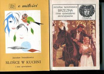 Brzezina i inne opowiadania ekranizowane +Słońce w kuchni - Iwaszkiewicz