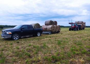 siano słoma jęczmienna baloty120x140 możliwość transportu