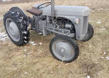 Massey Ferguson tea 20