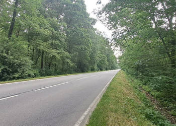 Działkę sprzedam 28900m2 Borzęcin