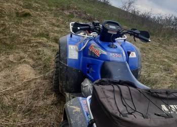 Quad
