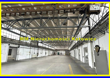 Oferta wynajmu lokalu 1325m2 Katowice