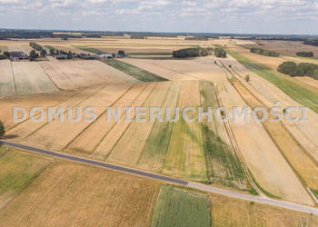 Do sprzedaży działka 4700m2 Chociszew