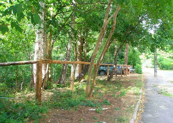 Działka leśna w Otwocku.