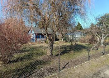 Działka ROD Paluch Miejski Warszawa