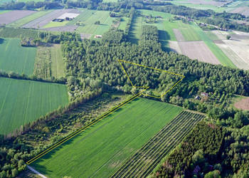 Działka 2.46 ha k. Mszczonowa z warunkami na bud. mieszkalny