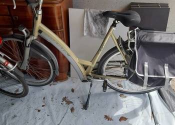 Batavus