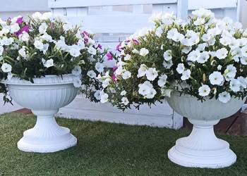 Dekoracje donice na taras balkon