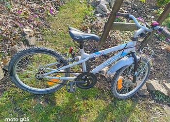 Rower dziecięcy coupe wci koła 20