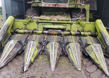 Przystawka do kukurydzy Claas mp 6-75fc