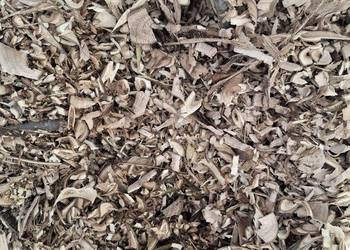 Zrębki drewniane / mulcz do ogrodu (do nawożenia)