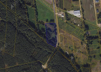 Działka 239 w miejscowości Wielka Nieszawka