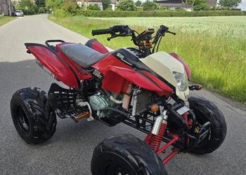 Quad Bashan 200/250cc Duża Rama ciecz koła 10 cali stan bdb !