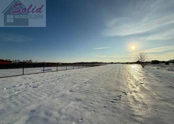 Atrakcyjne działki rekreacyjne blisko jeziora Przytomne