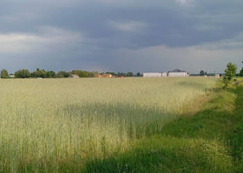 Sprzedam działkę budowlaną 1760m, Kownaty, gm. Płońsk ,WZ i Media , 45 min