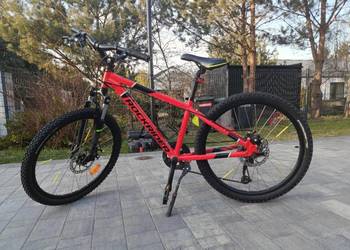 Rower Rockrider ST 900- 24' Polecam