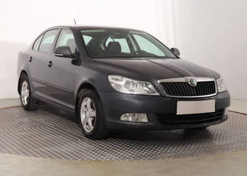 Skoda Octavia 1.9 TDI DPF