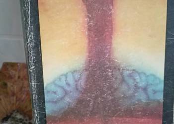 Od magii do psychotroniki książki Warszawa księgarnia Praga