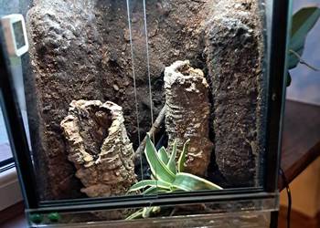 Sprzedam używane terrarium stan db, jedno małe pęknięcie widoczne na ostatn