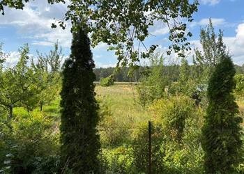 Ogródek działkowy 500 m2 w Trynosach, 20 000 zł